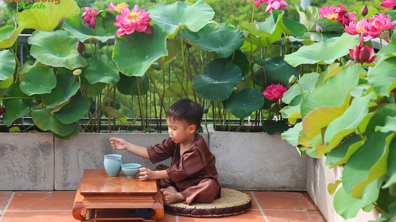 Cảnh quan xanh, chìa khóa không gian