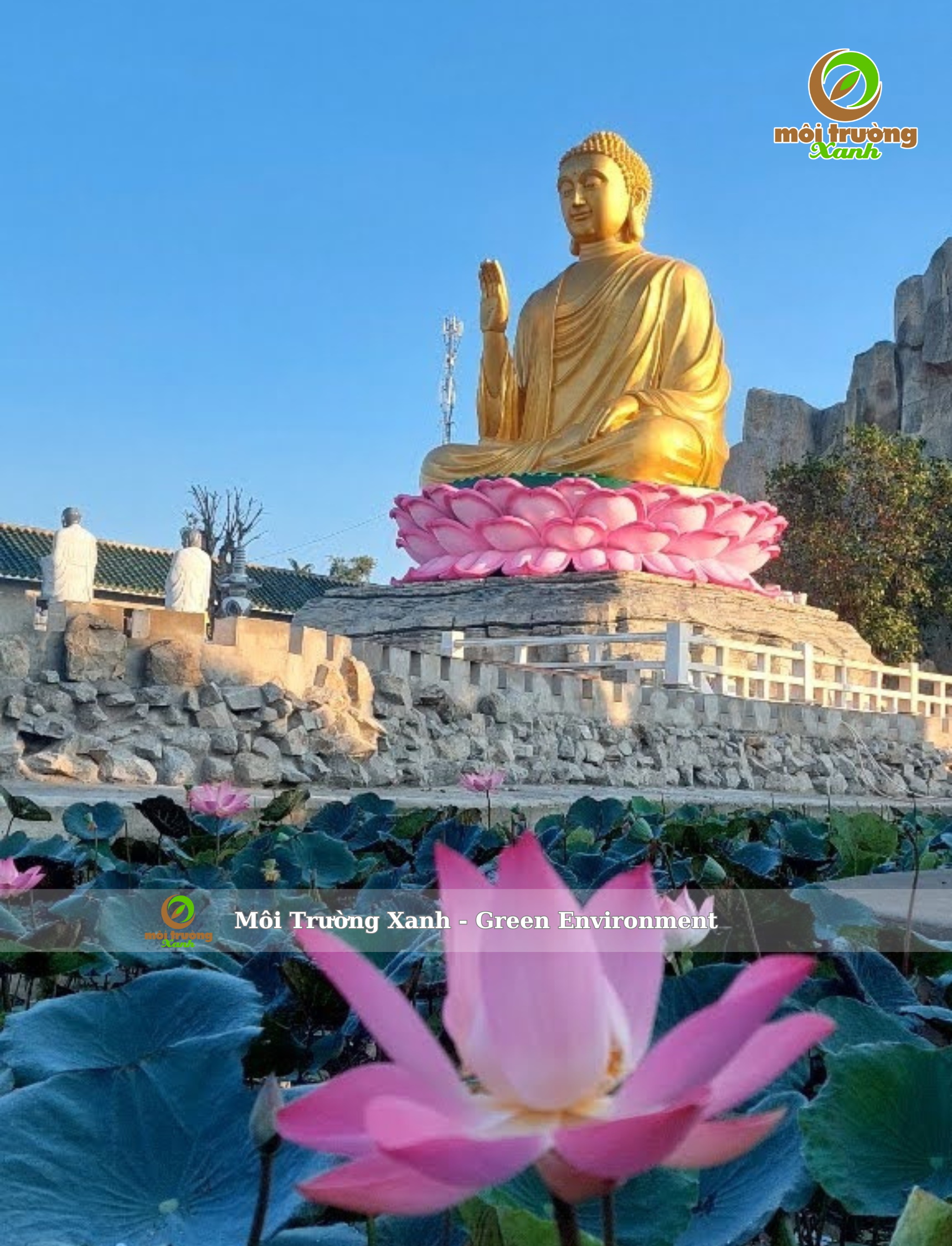 dự án - môi trường xanh (1)