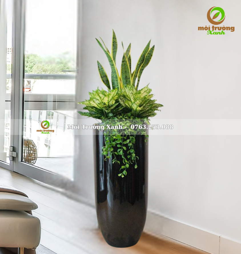 CHẬU CÂY PHỐI - P10