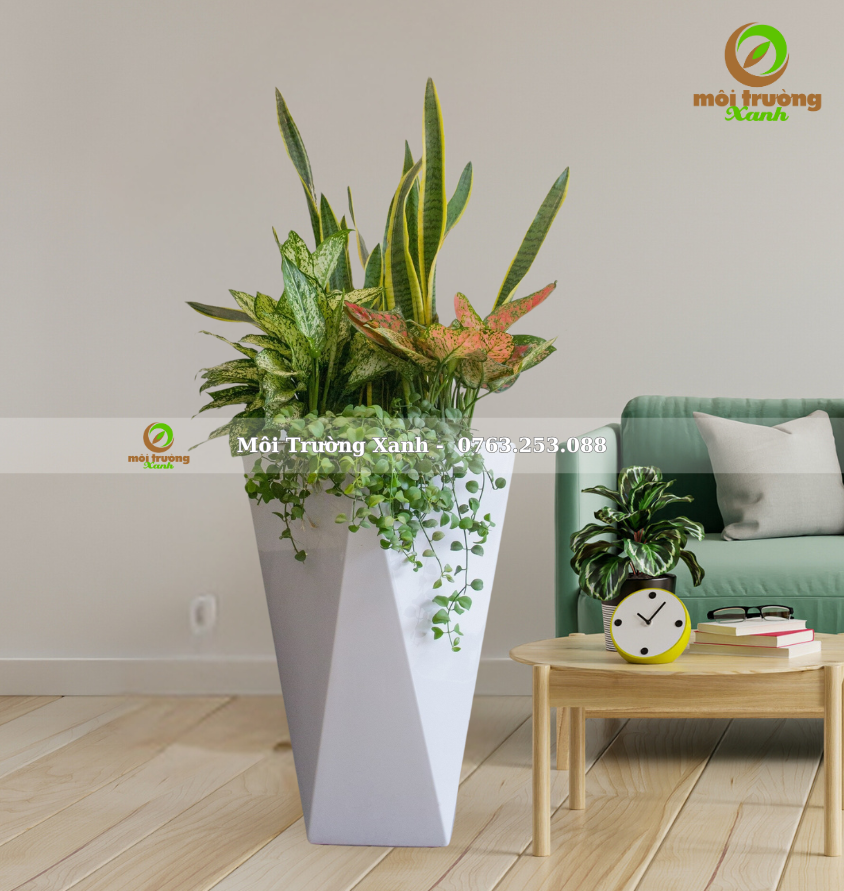 CHẬU CÂY PHỐI – P15