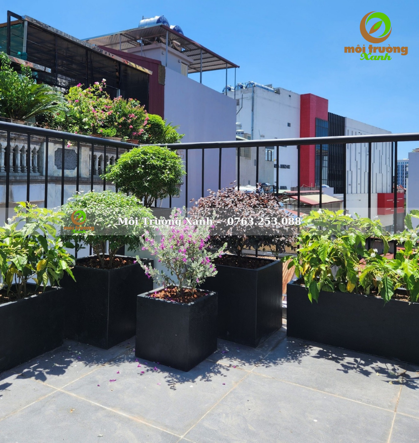 Tiểu cảnh ban công - môi trường xanh