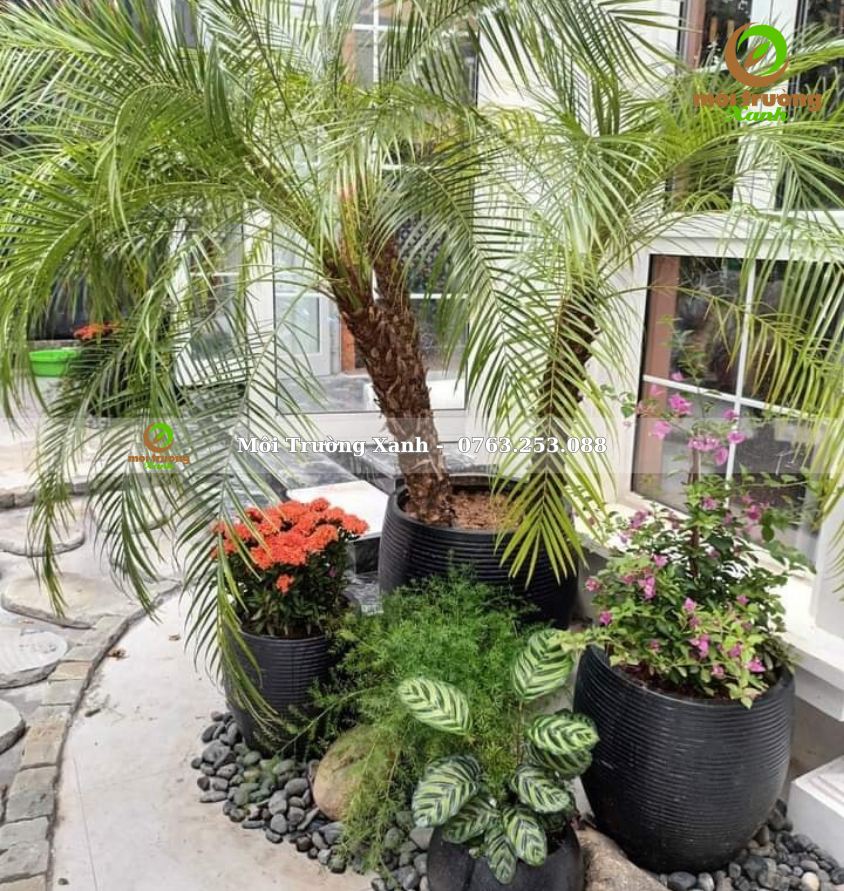 Tiểu cảnh ban công - môi trường xanh