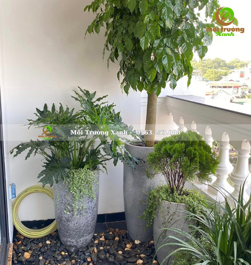 Tiểu cảnh ban công - môi trường xanh