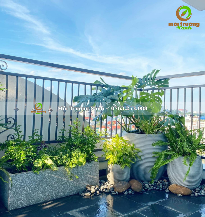 Tiểu cảnh ban công - môi trường xanh
