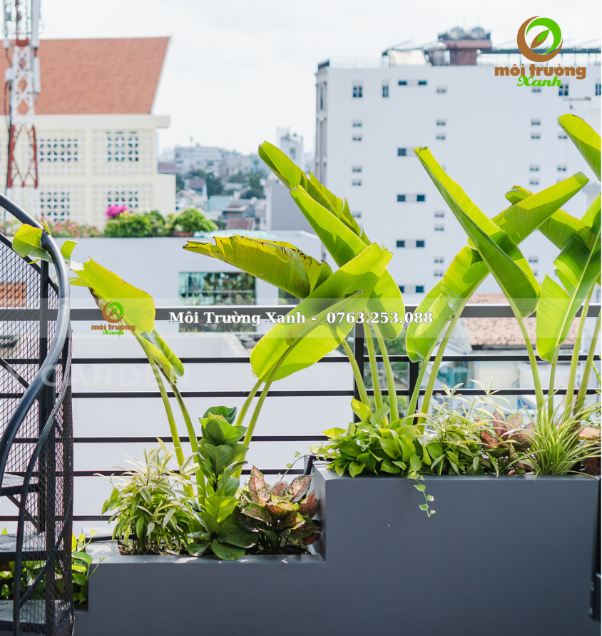 Tiểu cảnh ban công - môi trường xanh