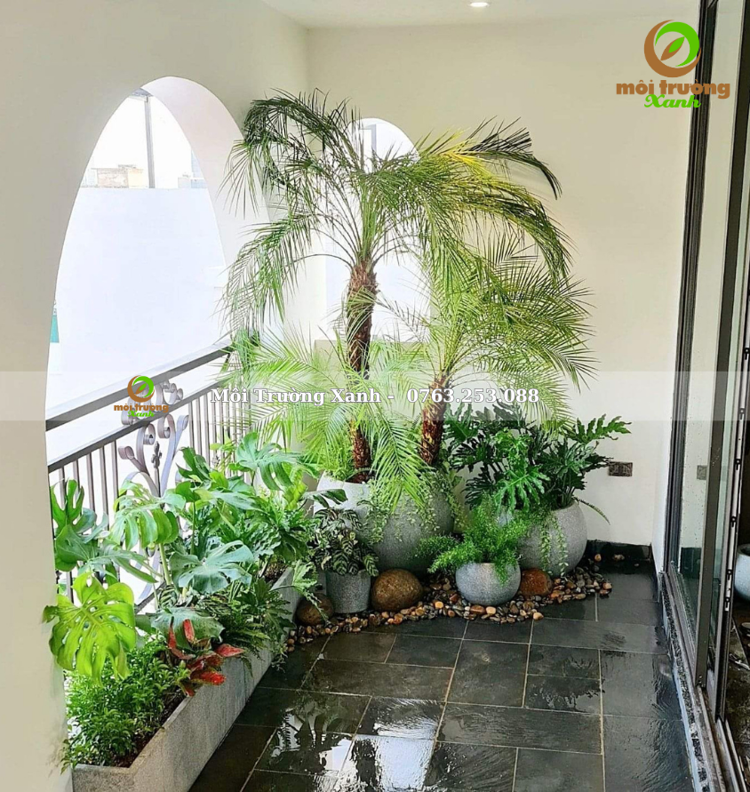 Tiểu cảnh ban công - môi trường xanh