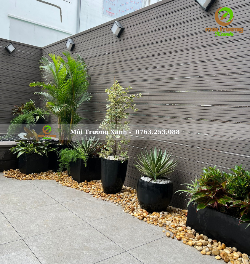 Tiểu cảnh ban công - môi trường xanh