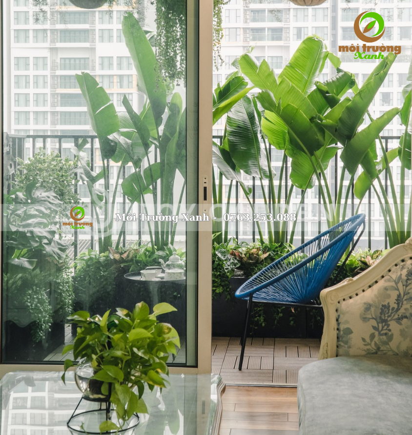 Tiểu cảnh ban công - môi trường xanh