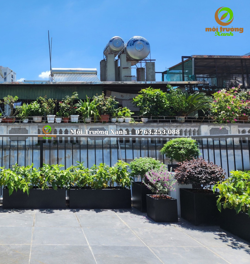 Tiểu cảnh ban công - môi trường xanh