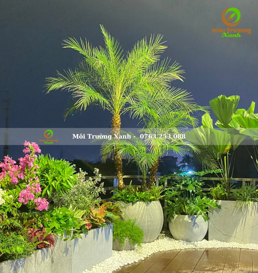 Tiểu cảnh ban công - môi trường xanh