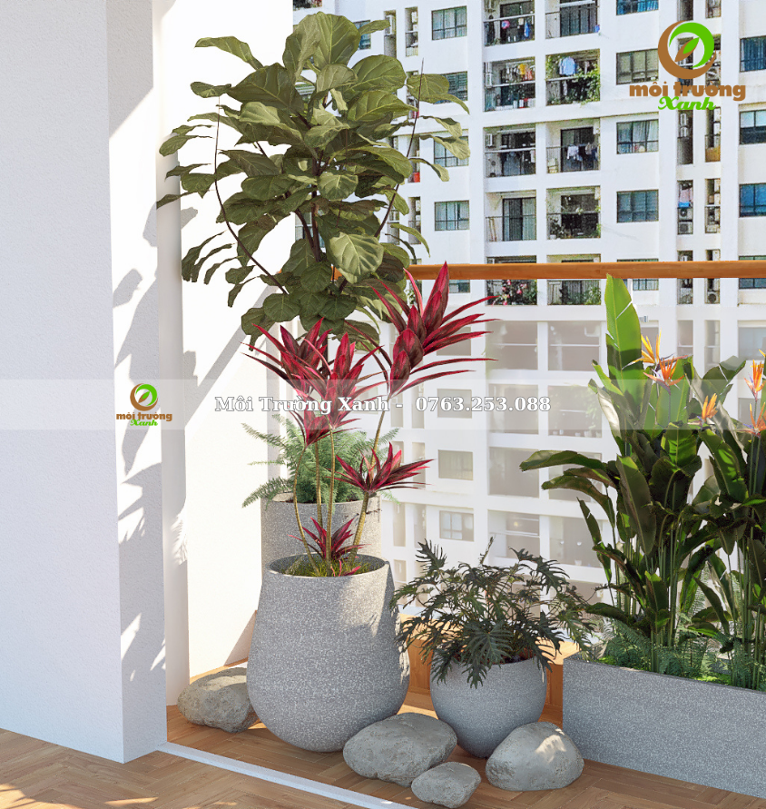 Tiểu cảnh ban công - môi trường xanh