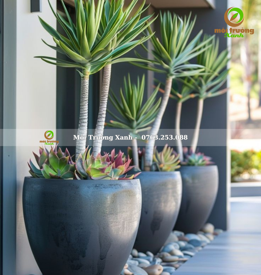 Tiểu cảnh ban công - môi trường xanh