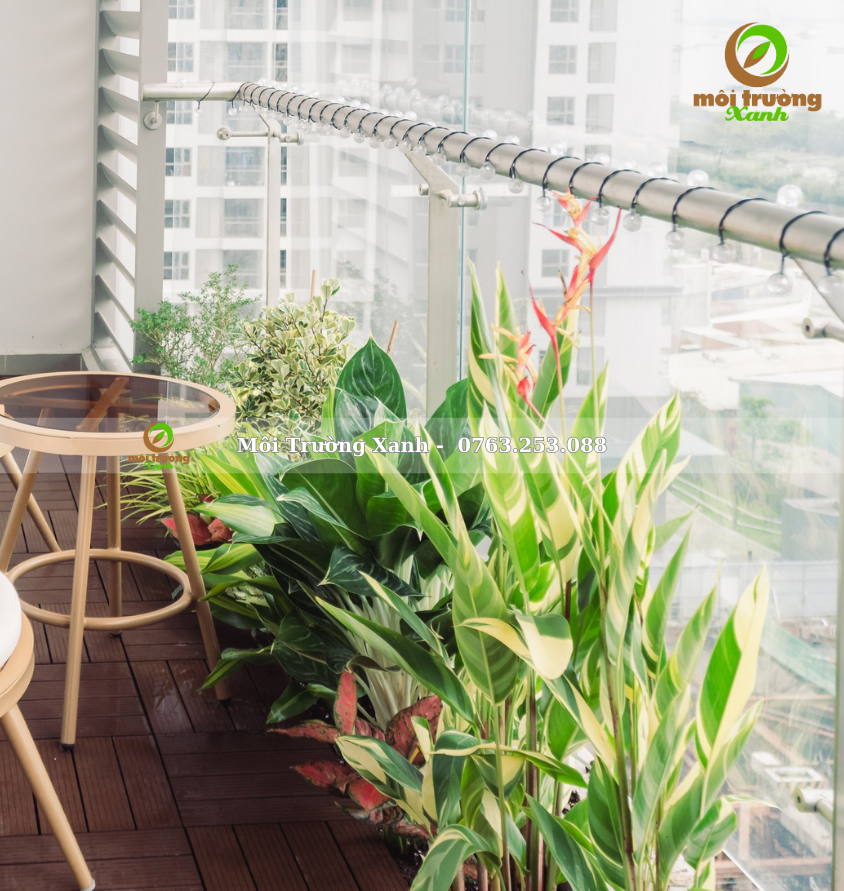 Tiểu cảnh ban công - môi trường xanh