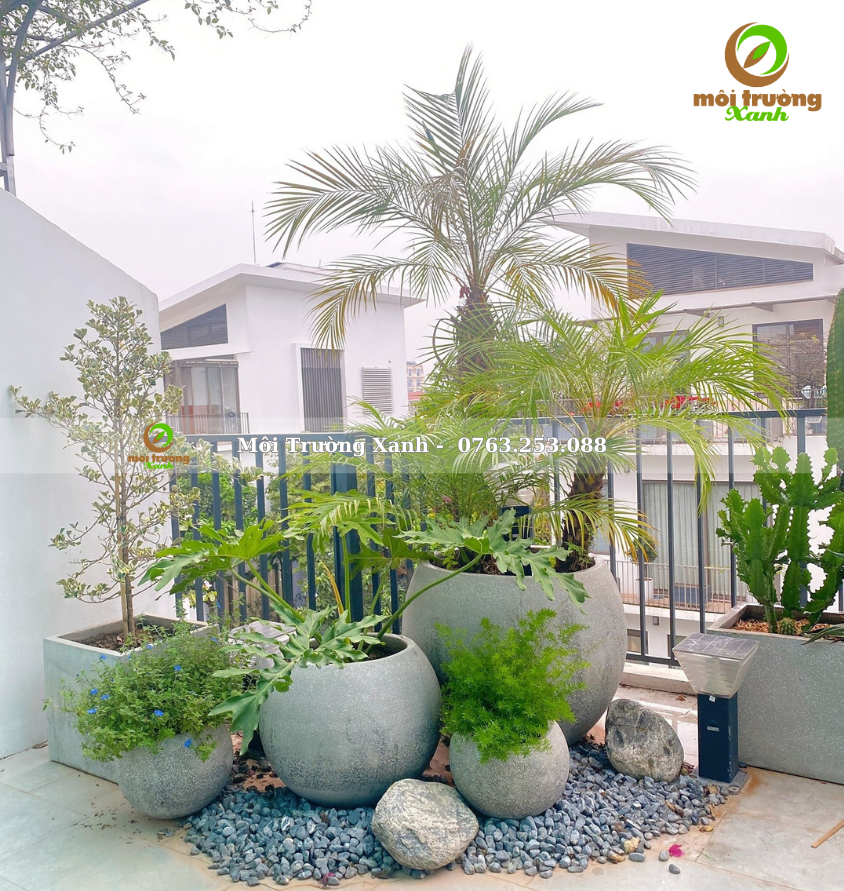 Tiểu cảnh ban công - môi trường xanh