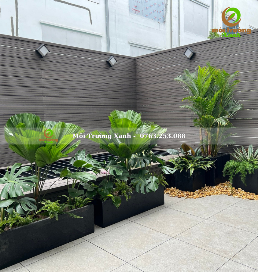 Tiểu cảnh ban công - môi trường xanh