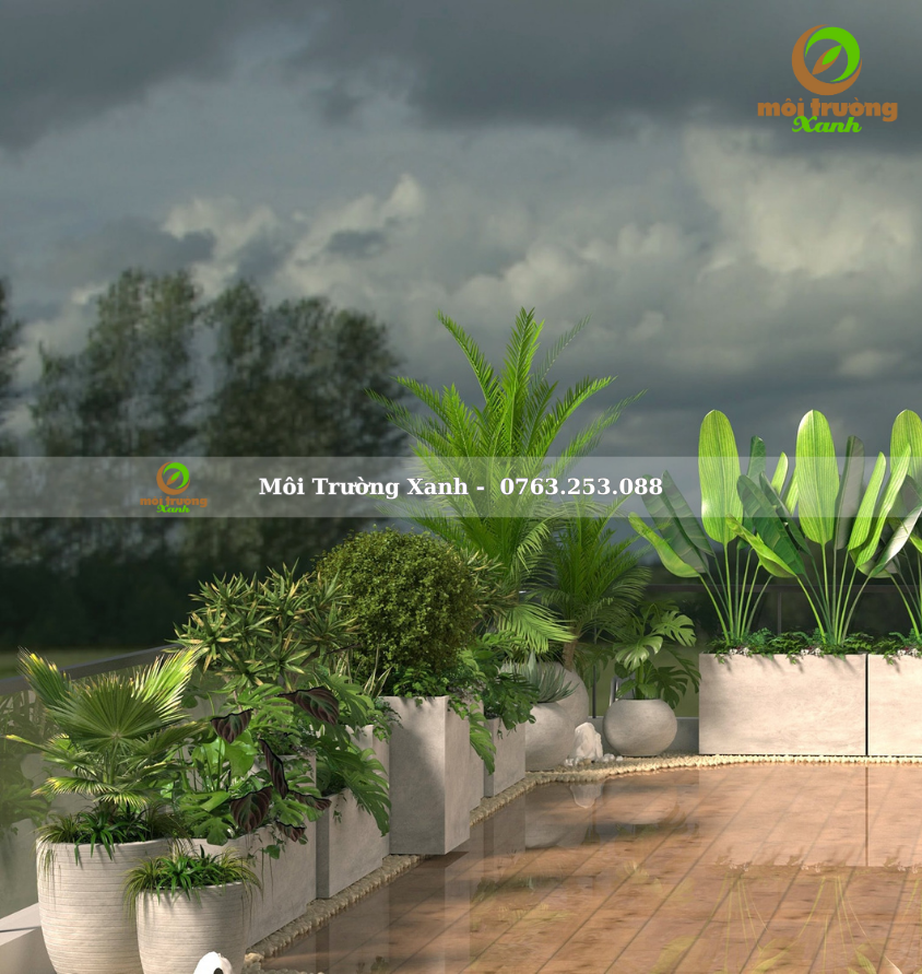 Tiểu cảnh ban công - môi trường xanh