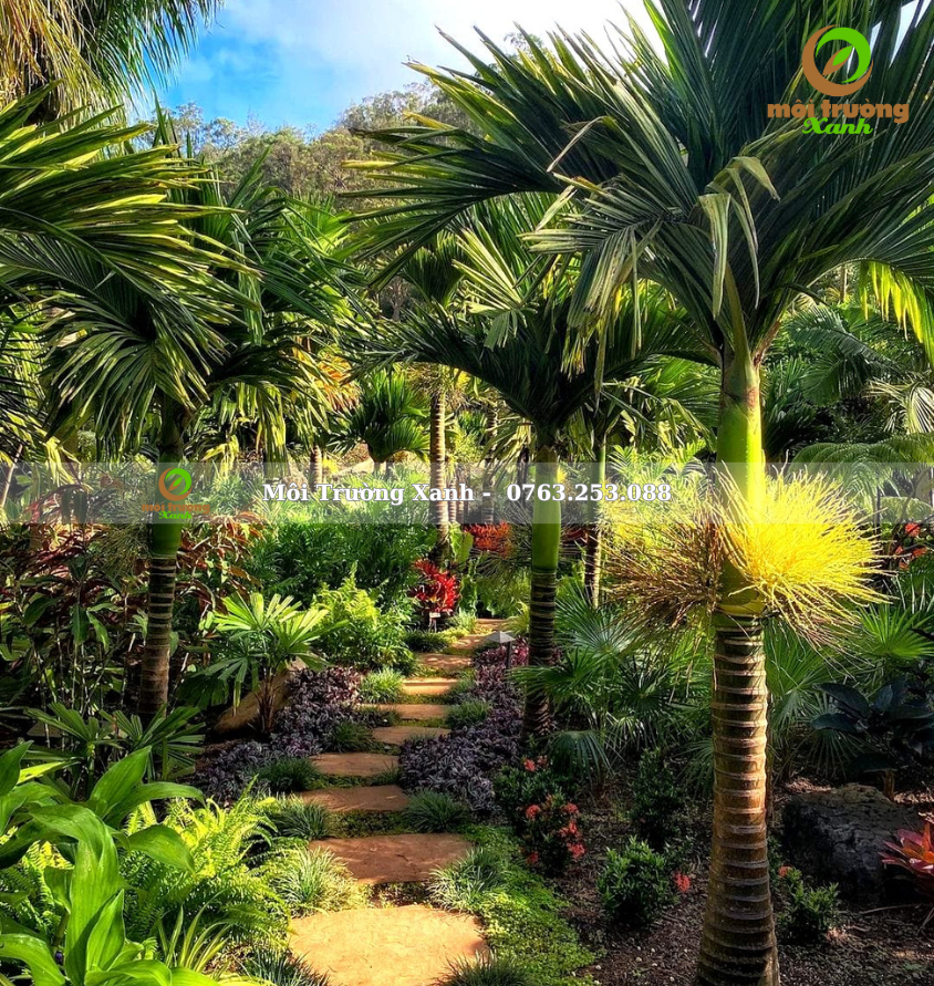 Tiểu cảnh sân vườn - môi trường xanh