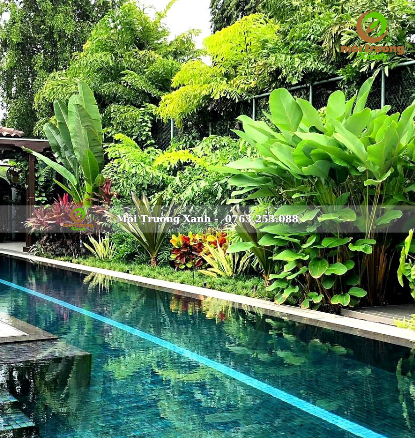 Tiểu cảnh sân vườn - môi trường xanh
