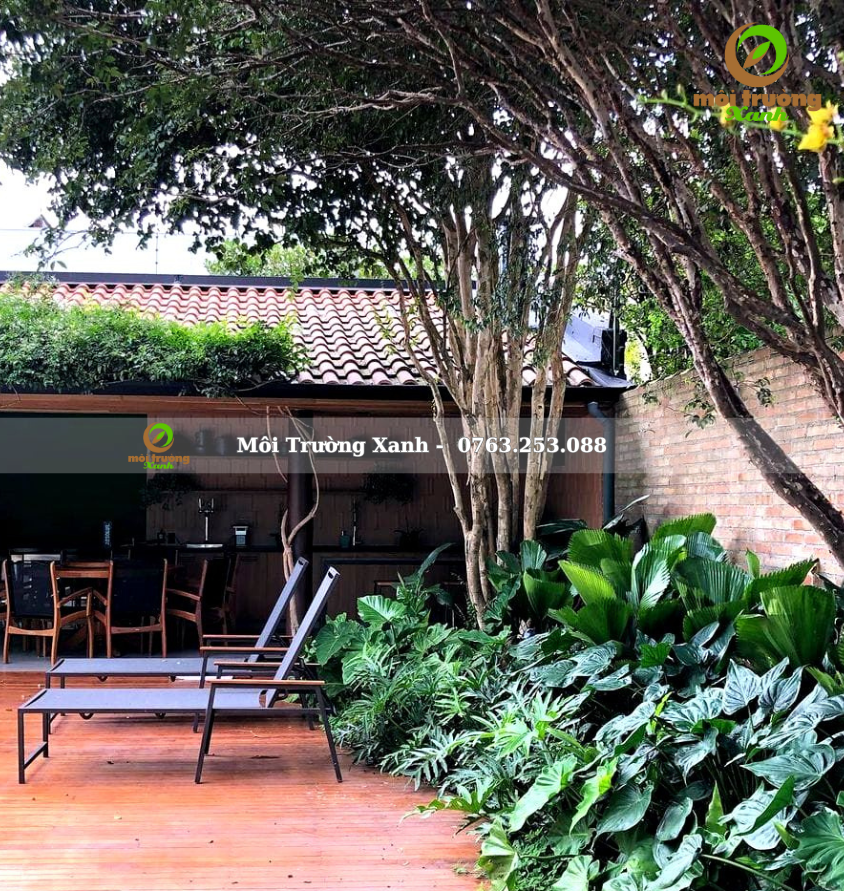 Tiểu cảnh sân vườn - môi trường xanh