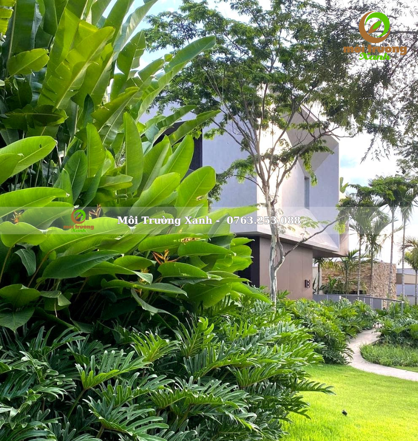 Tiểu cảnh sân vườn - môi trường xanh