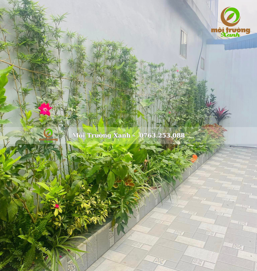 Tiểu cảnh sân vườn - môi trường xanh