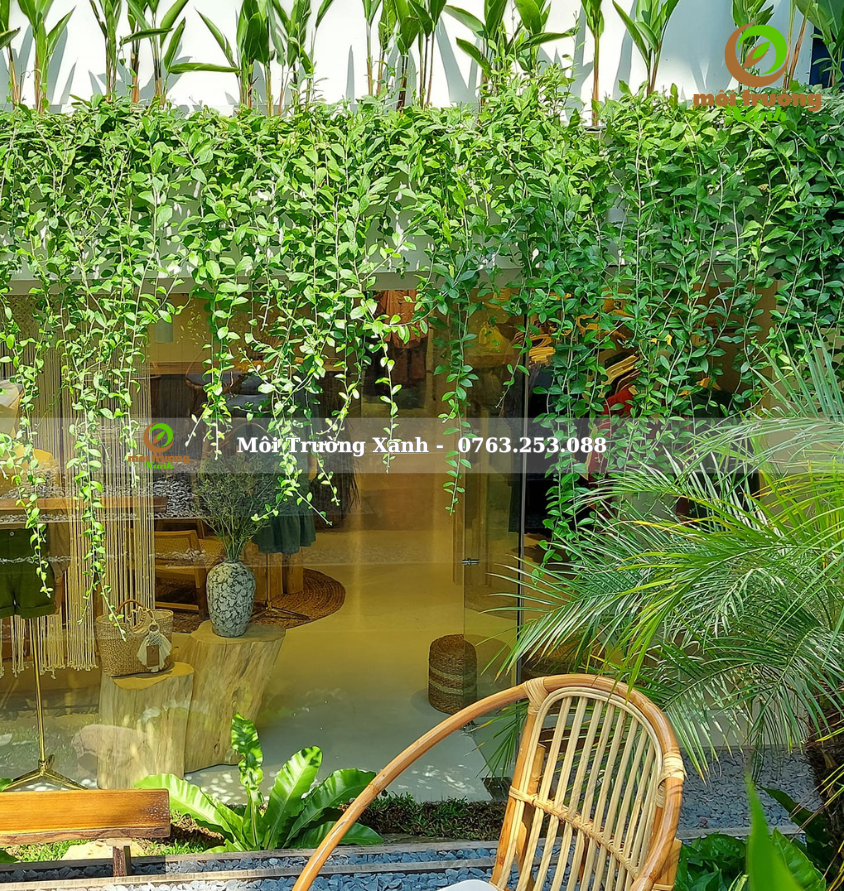 Tiểu cảnh sân vườn - môi trường xanh