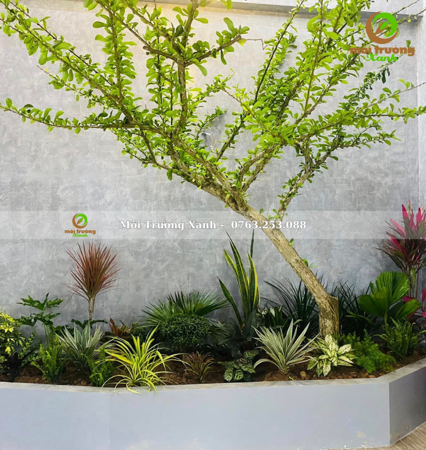 Tiểu cảnh sân vườn - môi trường xanh