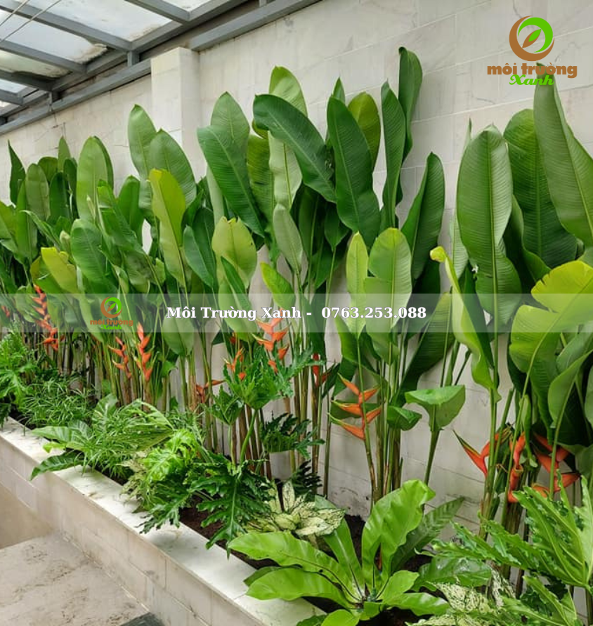 Tiểu cảnh sân vườn - môi trường xanh