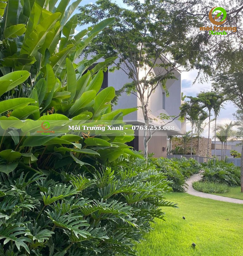 Tiểu cảnh sân vườn - môi trường xanh