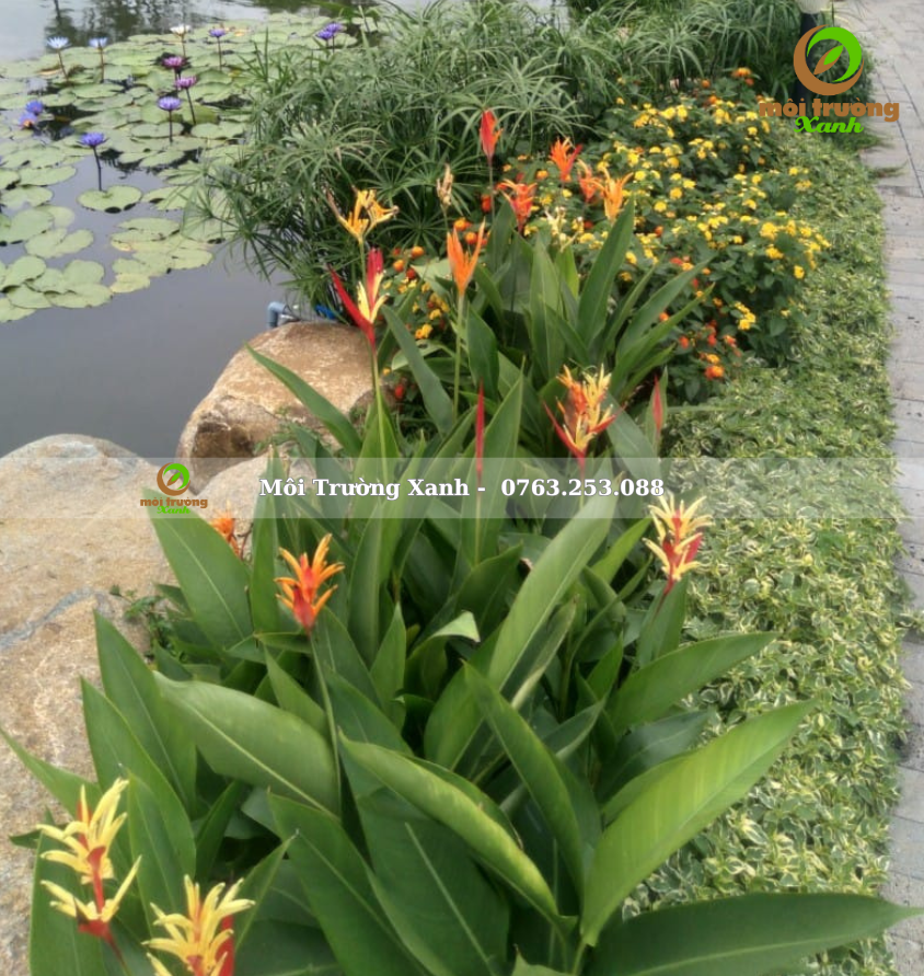 Tiểu cảnh sân vườn - môi trường xanh