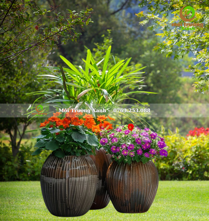 bộ chậu cây - môi trường xanh (2)