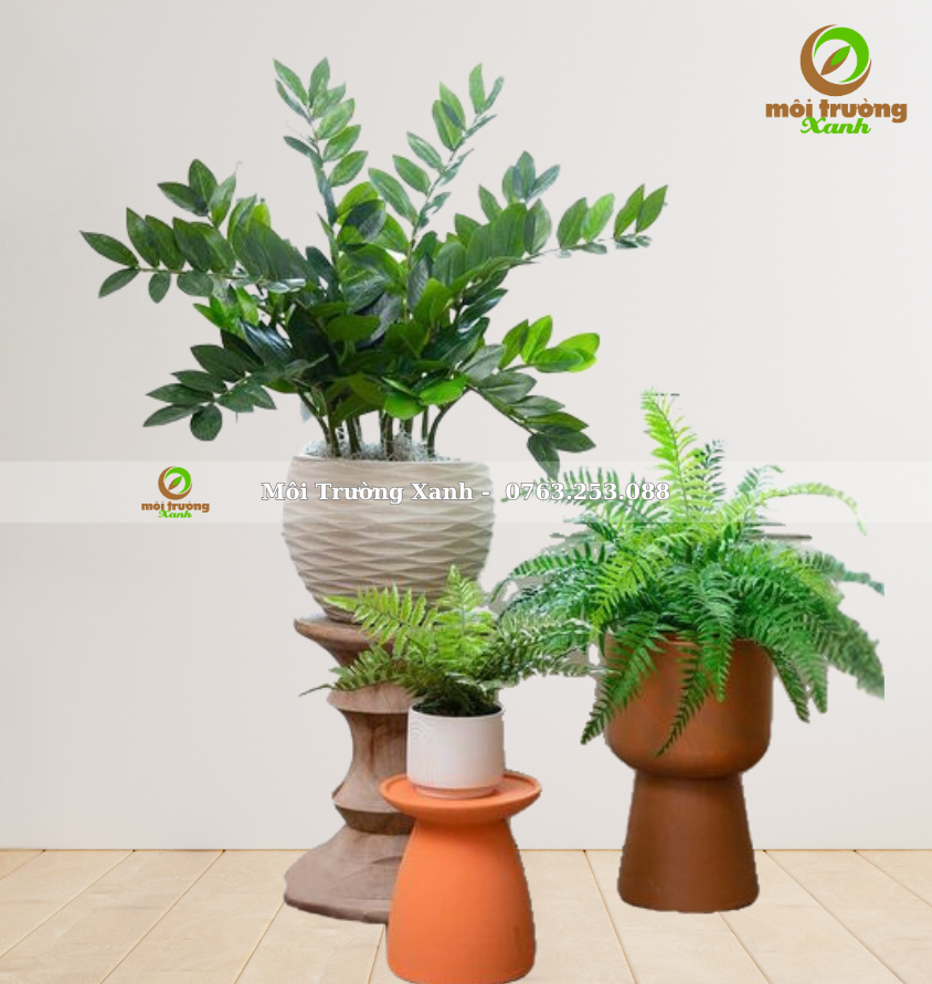 bộ chậu cây - môi trường xanh