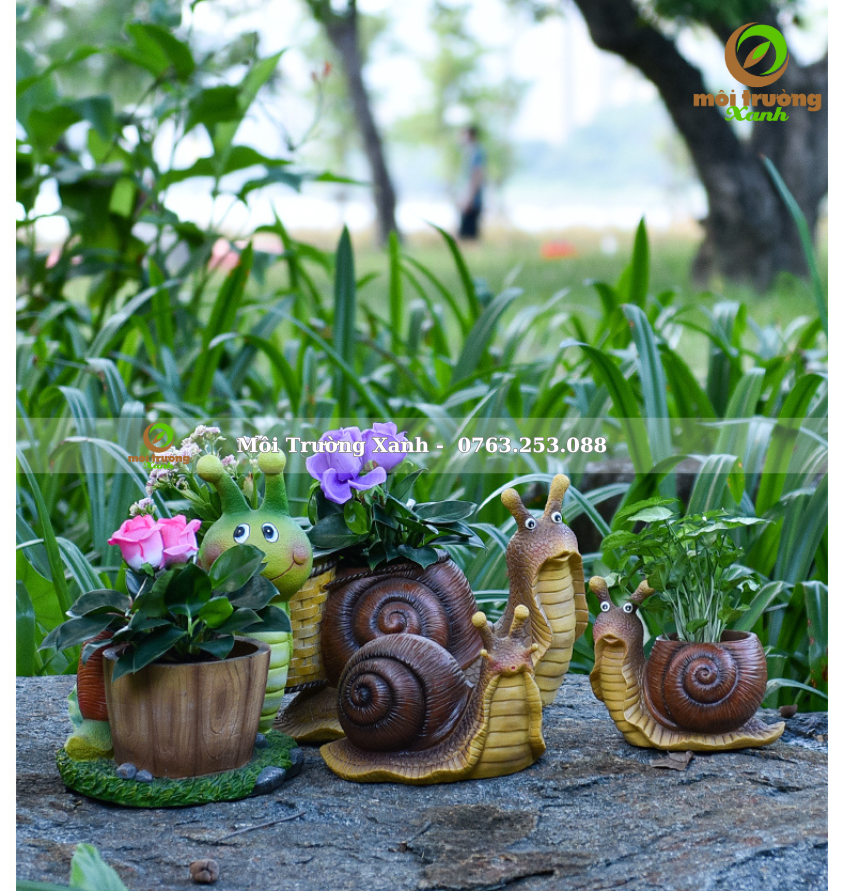 gia đình ốc sên - môi trường xanh