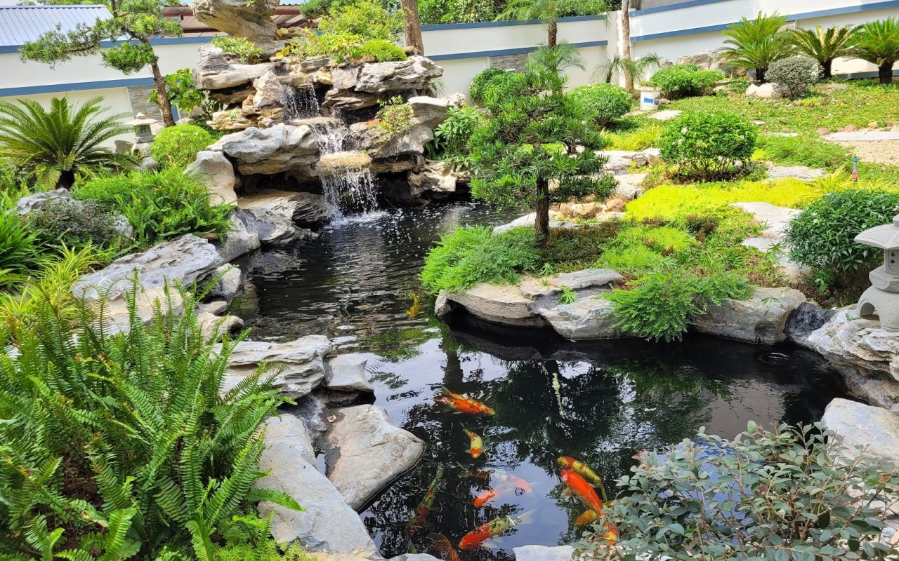 hòn non bộ - môi trường xanh