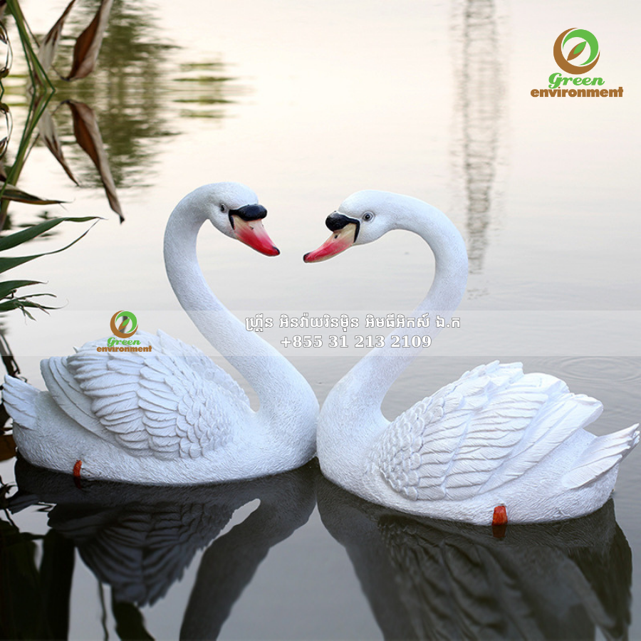 រូបសត្វអណ្ដើក