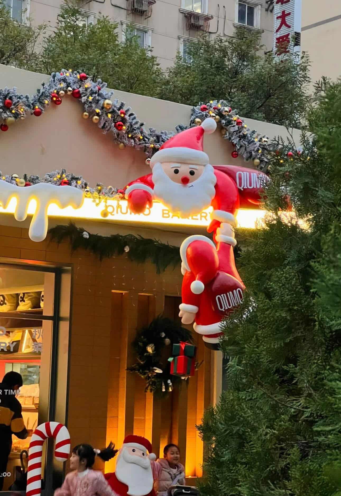 555061885 2049483932125124 751197487367356918 n